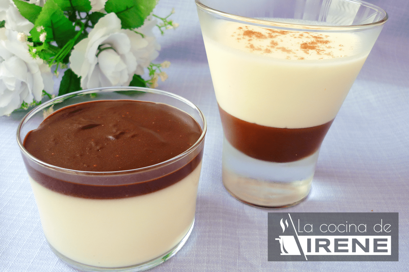 Panna Cotta de yogur y chocolate