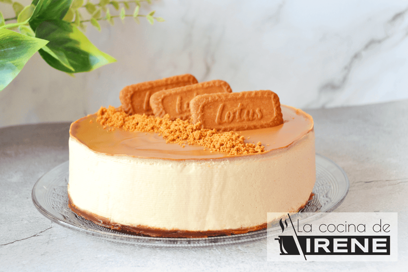 Tarta De Queso Con Galletas Lotus La Cocina De Irene Tarta De Queso Con Galletas Lotus La Cocina De Irene