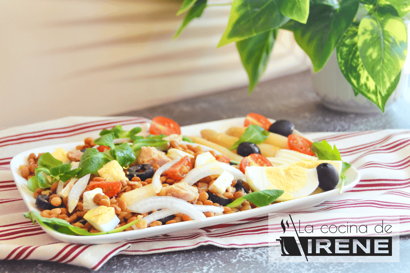 Ensalada de lentejas